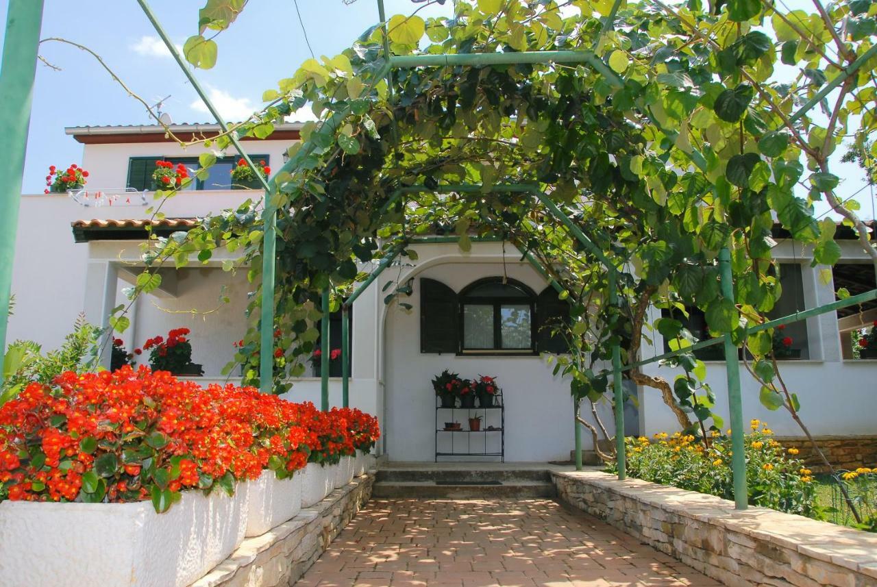 Apartmani Bauk Porec Exterior photo